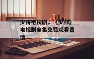 少将电视剧，《少帅》电视剧全集免费观看高清