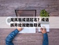龙凤胎成语起名？成语拆开给双胞胎取名