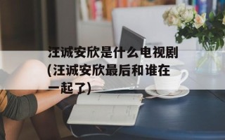 汪诚安欣是什么电视剧(汪诚安欣最后和谁在一起了)