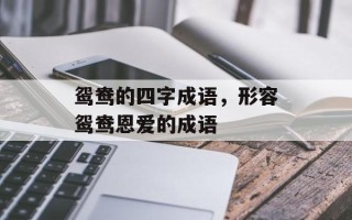 鸳鸯的四字成语，形容鸳鸯恩爱的成语