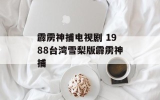 霹雳神捕电视剧 1988台湾雪梨版霹雳神捕
