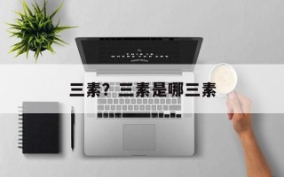 三素？三素是哪三素