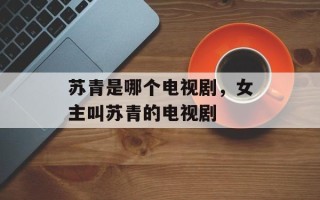 苏青是哪个电视剧，女主叫苏青的电视剧