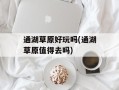 通湖草原好玩吗(通湖草原值得去吗)