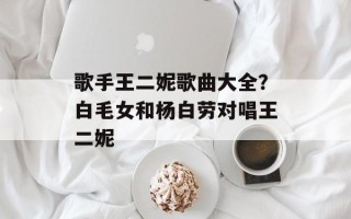 歌手王二妮歌曲大全？白毛女和杨白劳对唱王二妮