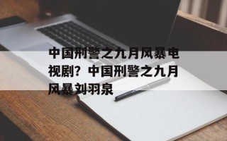 中国刑警之九月风暴电视剧？中国刑警之九月风暴刘羽泉