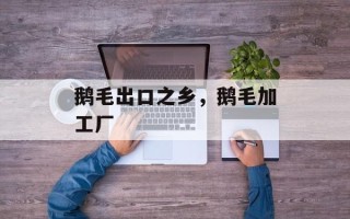 鹅毛出口之乡，鹅毛加工厂