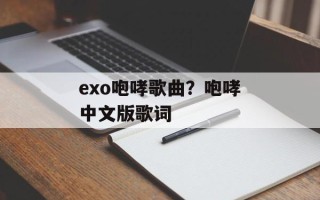 exo咆哮歌曲？咆哮中文版歌词