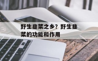 野生韭菜之乡？野生韭菜的功能和作用