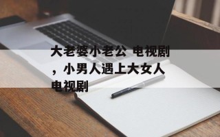 大老婆小老公 电视剧，小男人遇上大女人 电视剧