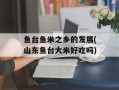 鱼台鱼米之乡的发展(山东鱼台大米好吃吗)