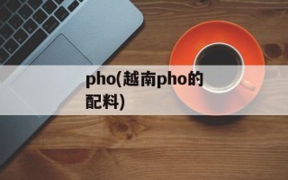 pho(越南pho的配料)