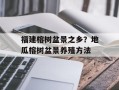 福建榕树盆景之乡？地瓜榕树盆景养殖方法
