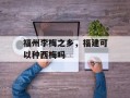 福州李梅之乡，福建可以种西梅吗