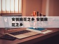 安微麻花之乡 安徽麻花之乡