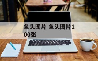 鱼头图片 鱼头图片100张