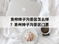 青州柿子沟景区怎么样？青州柿子沟景区门票