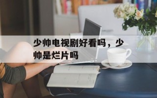 少帅电视剧好看吗，少帅是烂片吗
