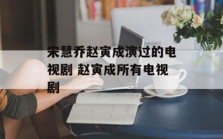 宋慧乔赵寅成演过的电视剧 赵寅成所有电视剧