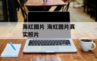 海红图片 海虹图片真实照片