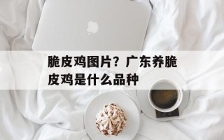 脆皮鸡图片？广东养脆皮鸡是什么品种