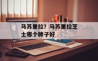 马苏里拉？马苏里拉芝士哪个牌子好