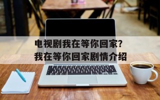 电视剧我在等你回家？我在等你回家剧情介绍