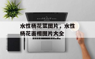 水性杨花菜图片，水性杨花面相图片大全