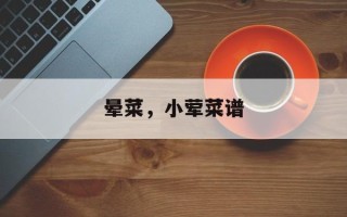 晕菜，小荤菜谱