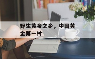 野生黄金之乡，中国黄金第一村