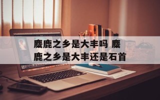 麋鹿之乡是大丰吗 麋鹿之乡是大丰还是石首