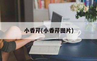 小香芹(小香芹图片)