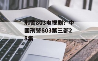 刑警803电视剧？中国刑警803第三部28集