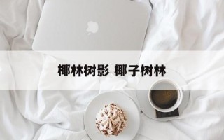 椰林树影 椰子树林