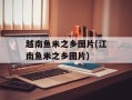 越南鱼米之乡图片(江南鱼米之乡图片)