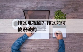 韩冰电视剧？韩冰如何被识破的