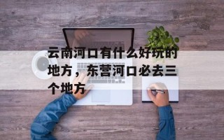 云南河口有什么好玩的地方，东营河口必去三个地方