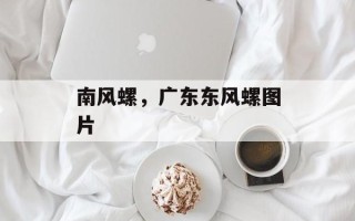南风螺，广东东风螺图片
