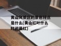 黄山风景区的景色特点是什么(黄山红叶什么时间最红)
