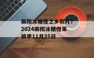 麻阳冰糖橙之乡照片？2024麻阳冰糖橙采摘季11月25日