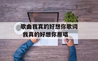 歌曲我真的好想你歌词 我真的好想你原唱