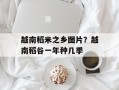 越南稻米之乡图片？越南稻谷一年种几季
