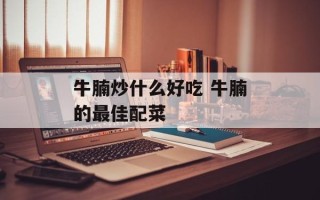 牛腩炒什么好吃 牛腩的最佳配菜