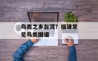 鸟类之乡台湾？福建常见鸟类图谱
