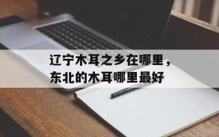 辽宁木耳之乡在哪里，东北的木耳哪里最好