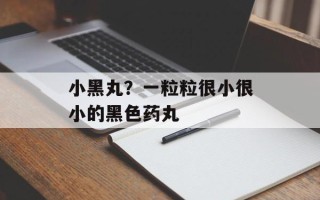 小黑丸？一粒粒很小很小的黑色药丸