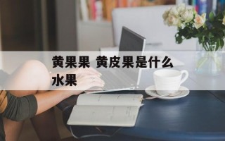 黄果果 黄皮果是什么水果