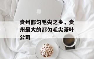 贵州都匀毛尖之乡，贵州最大的都匀毛尖茶叶公司