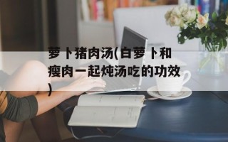 萝卜猪肉汤(白萝卜和瘦肉一起炖汤吃的功效)