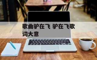 歌曲驴在飞 驴在飞歌词大意